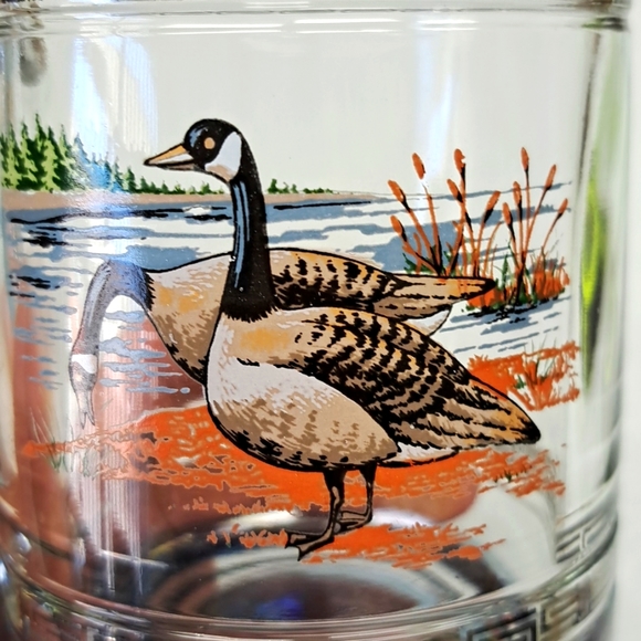Vintage"Princess House”   glass  beer stein/mug with Canadian Geese design - Picture 2 of 5